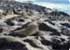 Where to stay in Cape-Cross