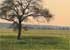 Where to stay in Caprivi-Strip