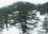 Where to stay in Cedars-of-God