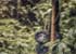Where to stay in Gorilla-Watching