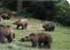 Where to stay in Liberty-Bear-Sanctuary