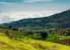 Where to stay in Ooty