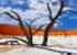 Where to stay in Sossusvlei