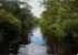 Where to stay in Tanjung-Puting-National-Park