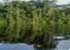 Where to stay in Tortuguero