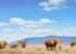 Where to stay in Tsavo-National-Park