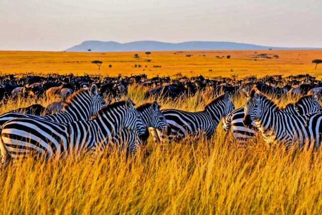 Where to stay in Kenya