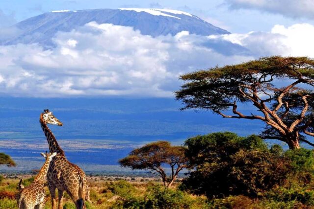 Where to stay in Tanzania
