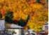 Where to stay and sightseeing in Arrowtown, New Zealand