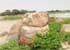 Where to stay and sightseeing in Ayorou, Niger