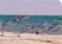 Where to stay and sightseeing in Banc-d'Arguin, Mauritania