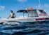 Where to stay and sightseeing in Beluga-Diving, Tonga