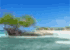 Where to stay in Cayo Levisa
