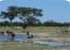 Where to stay and sightseeing in Chobe, Zimbabwe