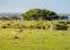 Where to stay and sightseeing in Dinder, Sudan