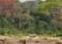 Where to stay and sightseeing in Dzanga-Sangha, Central African Republic