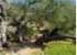 Where to stay and sightseeing in Gethsemane, Israel