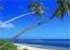 Where to stay and sightseeing in Ha'atafu-Beach, Tonga