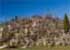 Where to stay and sightseeing in Hill-of-Crosses, Lithuania