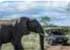 Where to stay and sightseeing in Hlane-Royal, Swaziland