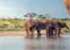 Where to stay and sightseeing in Hwange, Zimbabwe