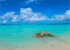 Where to stay in Jardines del Rey