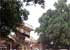Where to stay and sightseeing in Kankan, Guinea