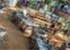 Where to stay and sightseeing in , Swaziland