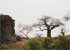 Where to stay and sightseeing in National-Park-Benin, Niger