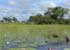 Where to stay and sightseeing in Okavango-Delta, Botswana