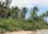 Where to stay and sightseeing in , Tonga