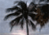 Where to stay in Playa Giron