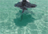 Where to stay in Stingray City