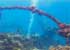 Where to stay and sightseeing in Toa-Maru, Solomon Islands