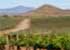 Where to stay and sightseeing in Valle-de-Guadalupe, Baja