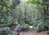 Where to stay in Vermont Nature Trail